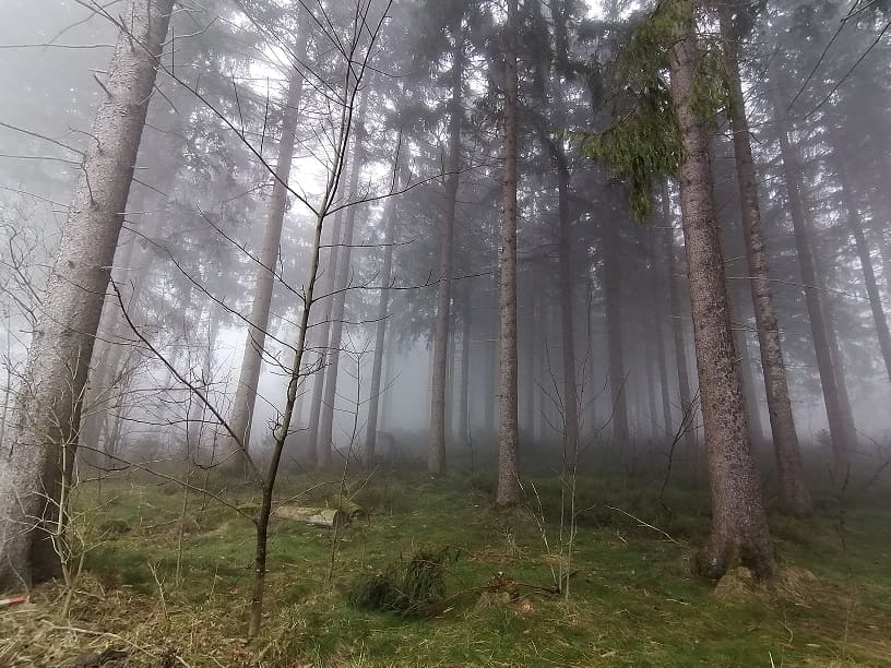 Naturerlebnis – Bild 6