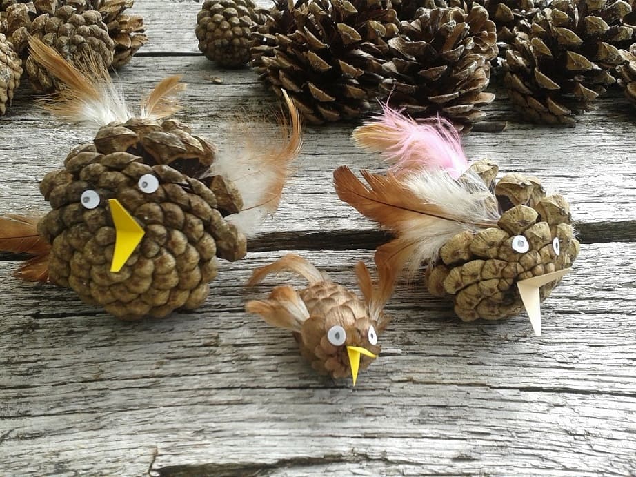 Naturerlebnis – Bild 9