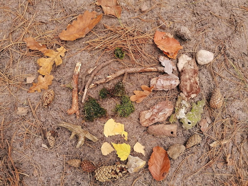 Naturerlebnis – Bild 4
